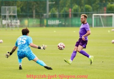 jiuyou九游娱乐-法甲里昂教练团队的组成与战术指导